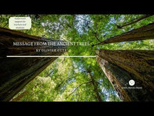 Load and play video in Gallery viewer, Pulse of the Forest: Three Songs for Percussion Ensemble
